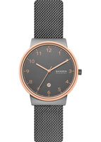 Skagen Mesh SKW7601