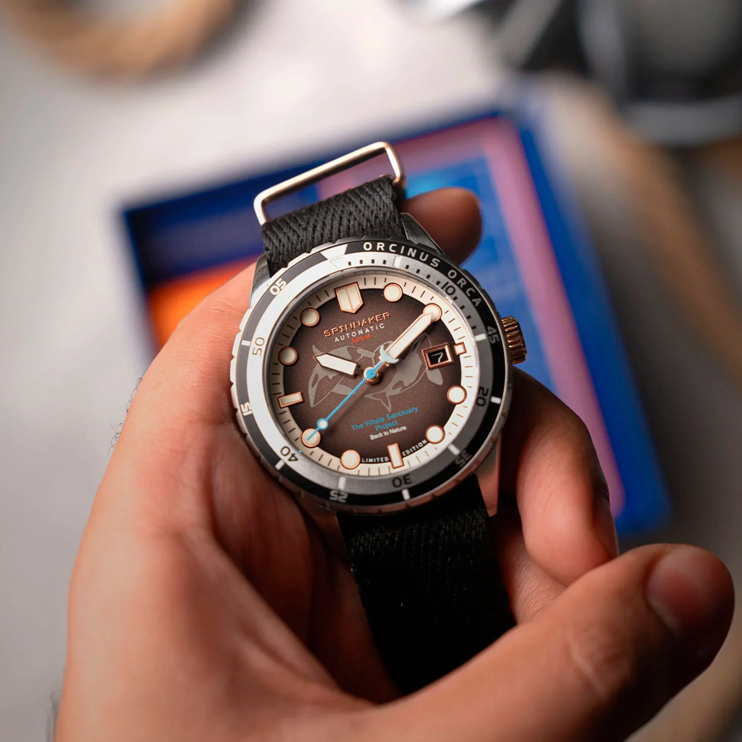 Spinnaker SP-5128-44