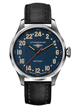 Часы Sturmanskie Арктика 2431-6821347