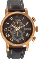 Titan CLASSIC 9234WL01