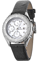 Zeades Distinctly Darling Diva ZWA01152
