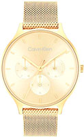 Calvin klein Multifunction 25200103