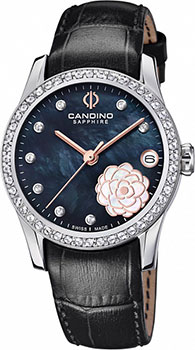 Candino Elegance