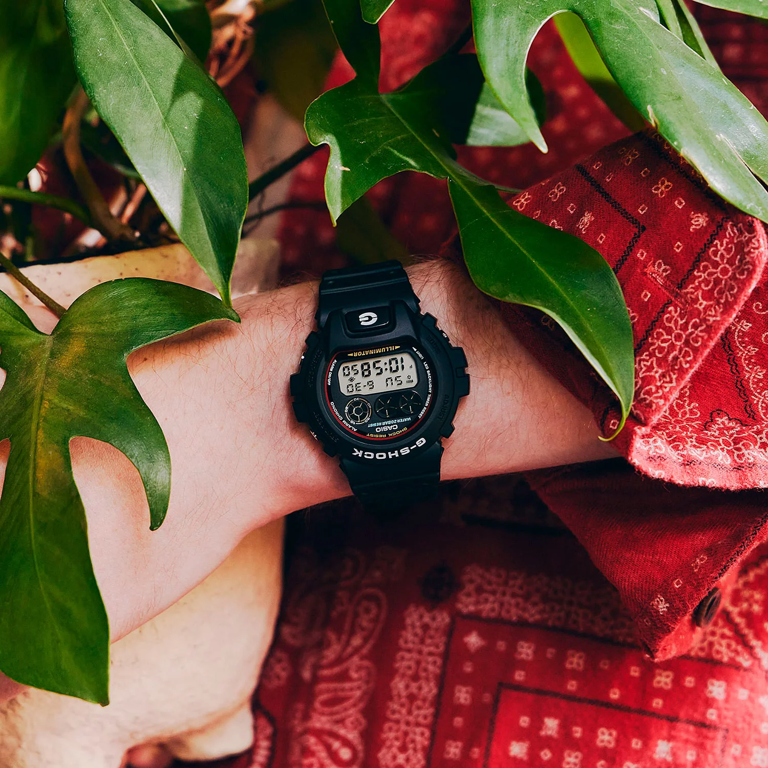 casio DW-6900RL-1