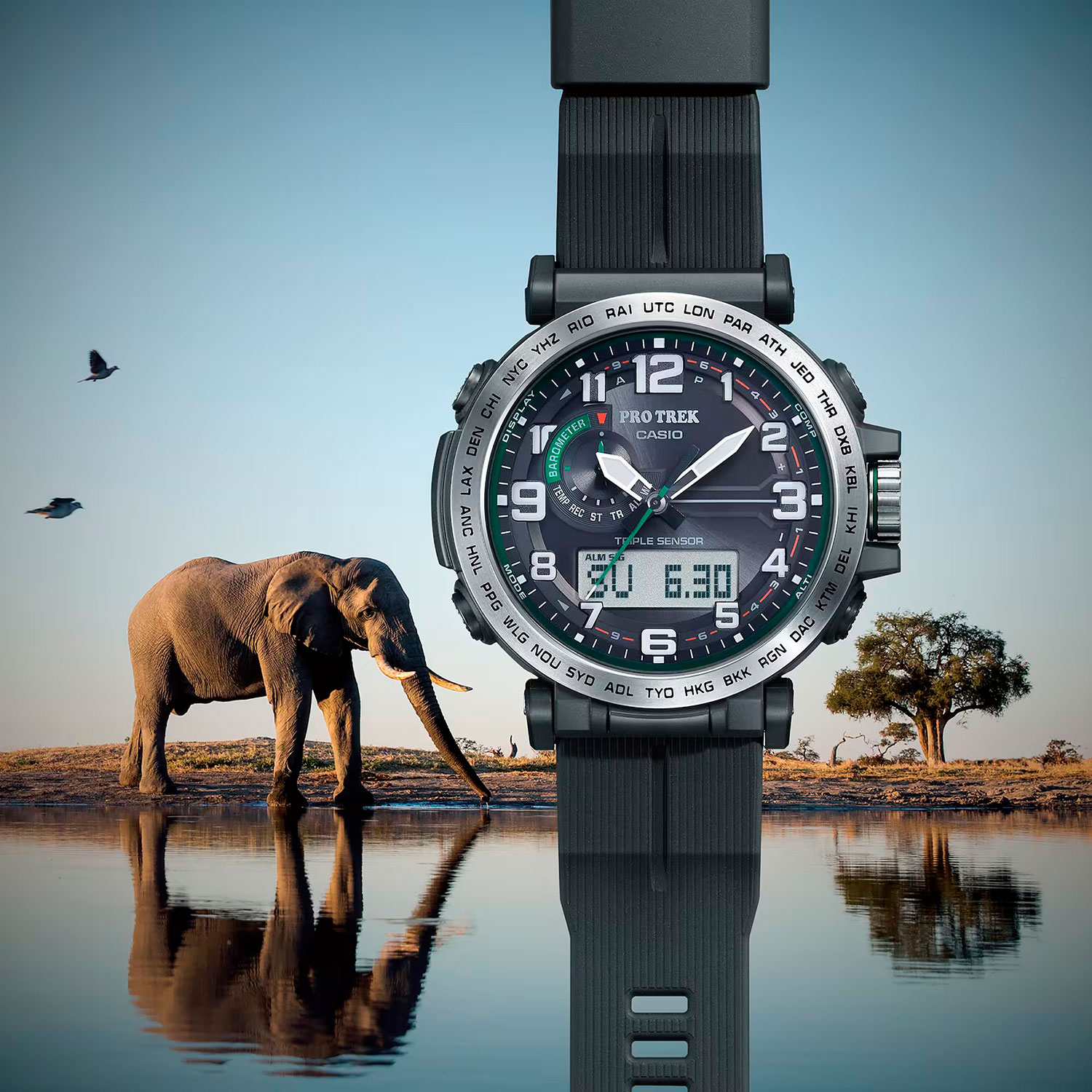 casio PRG-601-1