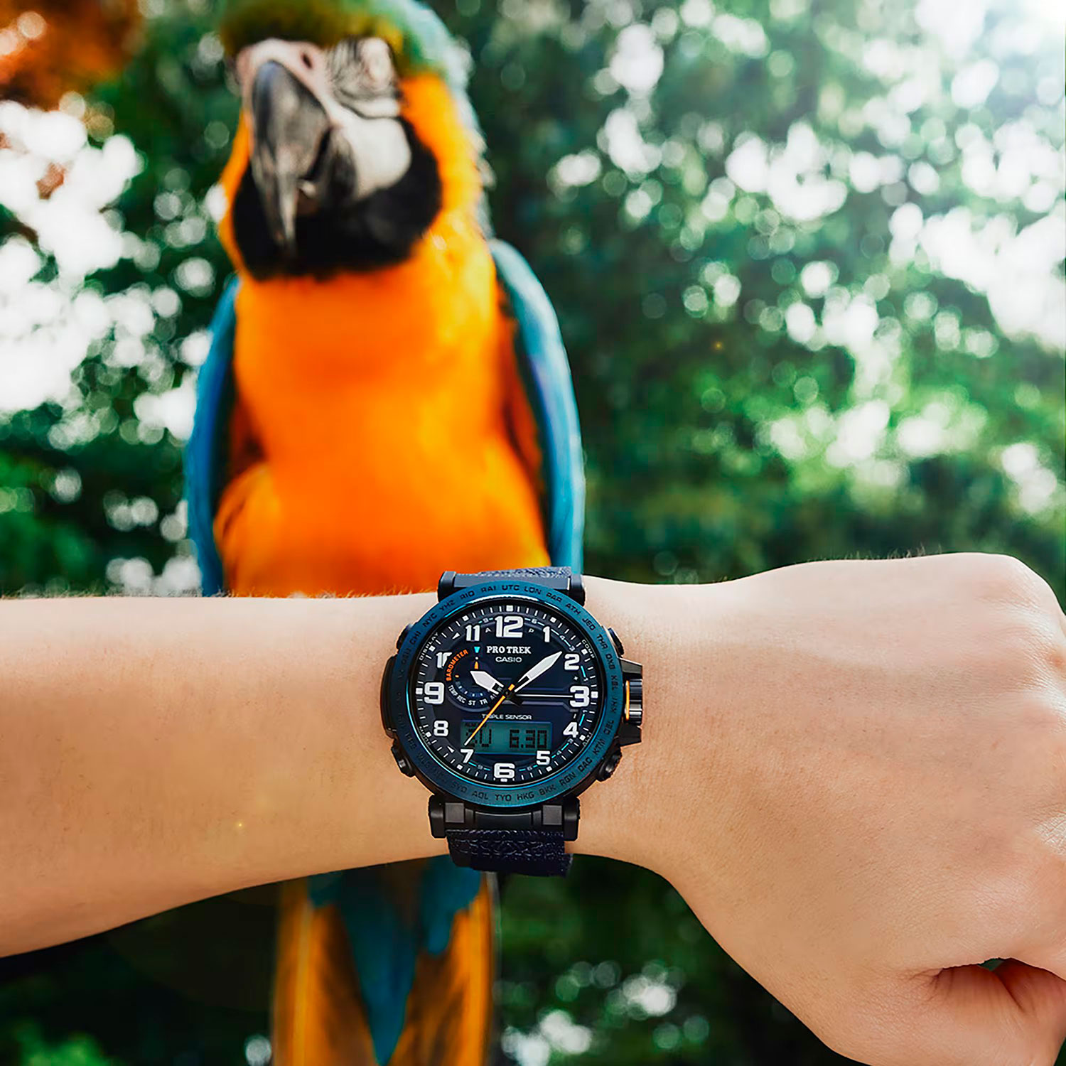 casio PRG-601YB-2