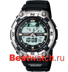 Casio Ana-Digi AQW-100-1A