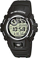 Casio G-Shock G-2900F-8V