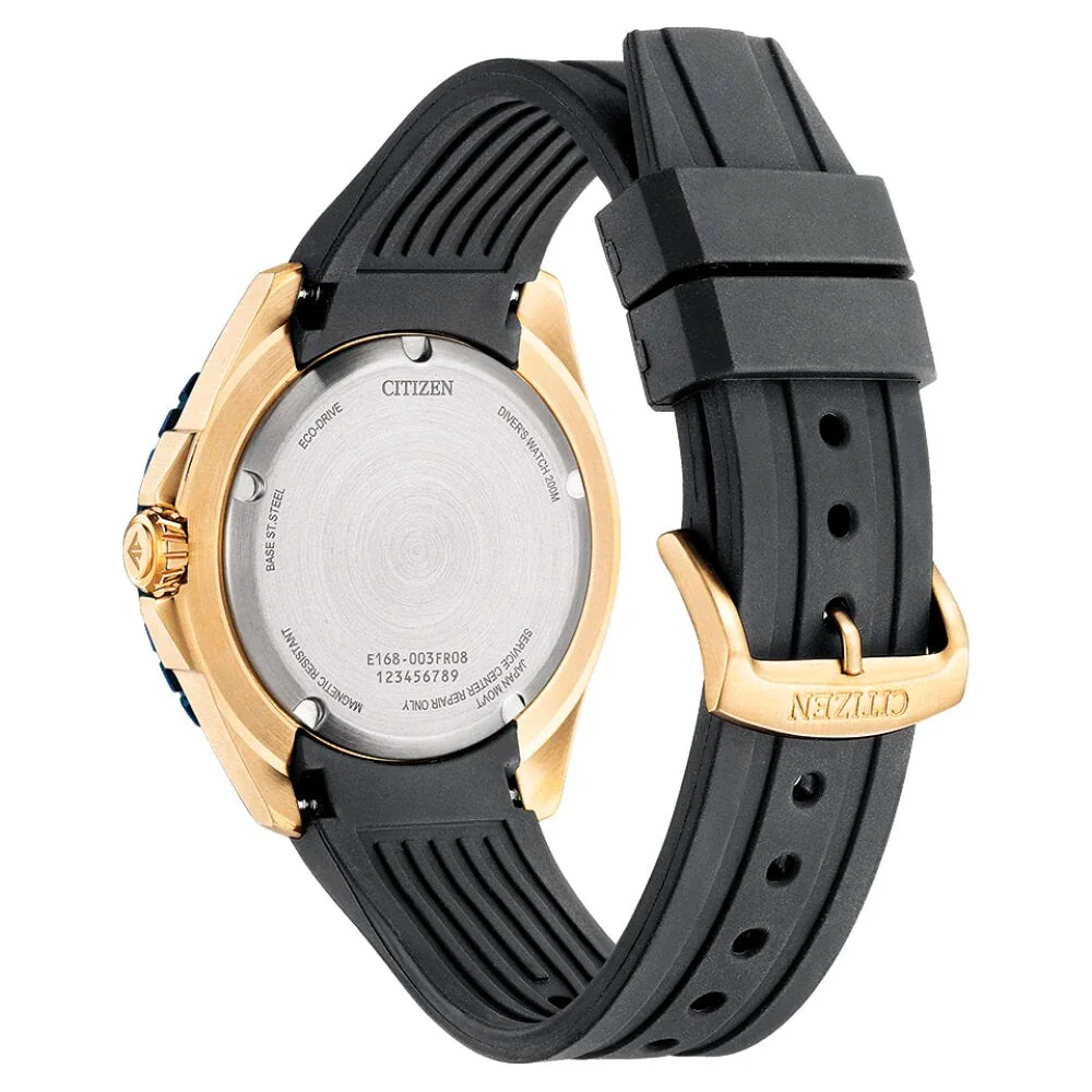 citizen BN0196-01L