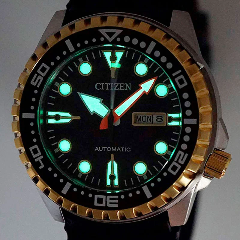citizen NH8384-14E