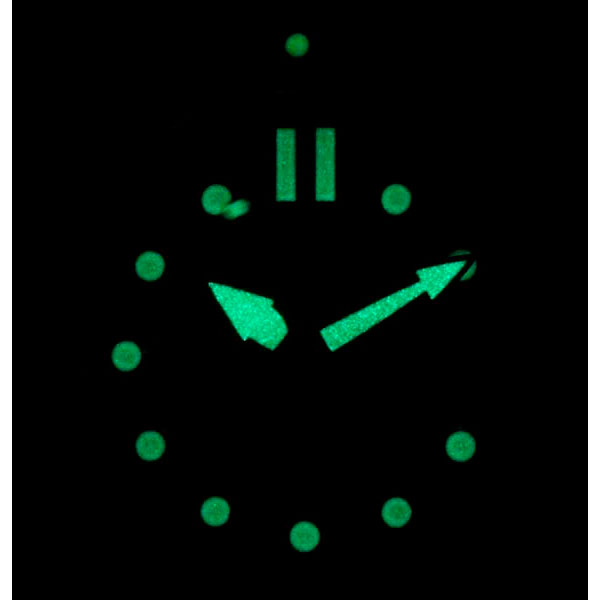 citizen NJ0129-87X