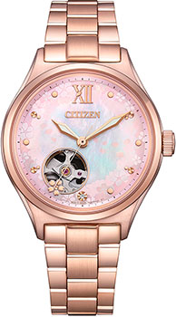 Часы Citizen Automatic PC1017-96W
