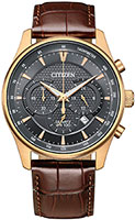 Citizen Quartz AN8193-02H