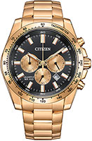 Citizen Chronograph AN8233-51E