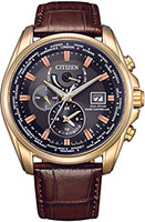 Citizen Radio Controlled AT9123-13E
