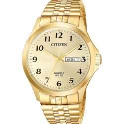 Citizen Quartz BF5002-99P