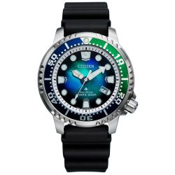Citizen Promaster BN0166-01L