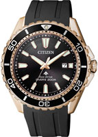 Citizen Promaster BN0193-17E