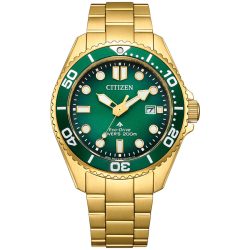 Citizen Promaster BN0262-59W