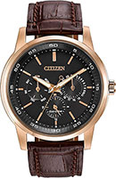 Citizen Basic BU2013-08E