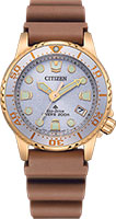 Citizen Promaster EO2022-02A