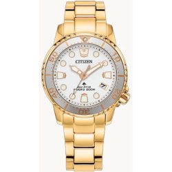 Citizen Promaster EO2029-54A