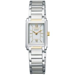 Citizen Basic FRA36-2432