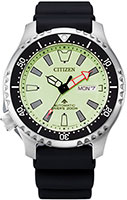 Citizen Automatic NY0119-19X