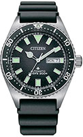 Citizen Promaster NY0120-01E