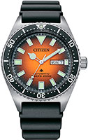 Citizen Promaster NY0120-01Z