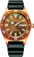 Citizen Promaster NY0125-08W