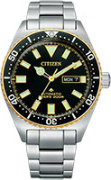 Citizen Promaster NY0125-83E