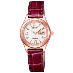 Citizen Automatic PD7162-04A
