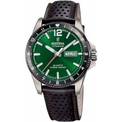 Festina Titanium F20699.3