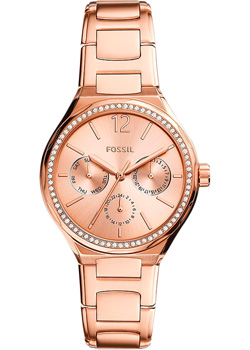 Fossil Eevie