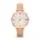 fossil ES3487