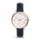 fossil ES3843