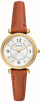 Fossil Carlie