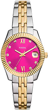 Fossil Scarlette
