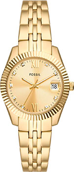 Fossil Scarlette