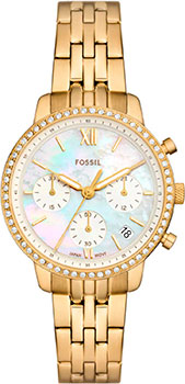 Fossil Neutra