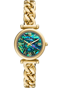 Fossil Carlie