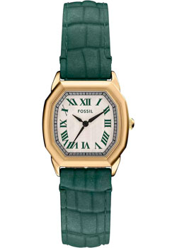 Fossil Harlow