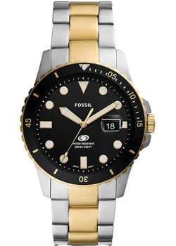 Fossil Fossil Blue