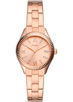 Fossil Rye BQ3639