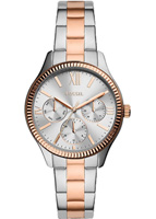 Fossil Rye BQ3761