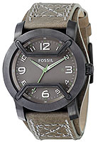 Fossil Trend JR1137