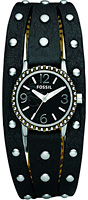 Fossil Trend JR1176