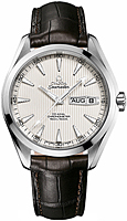 Omega Seamaster 231.13.43.22.02.001