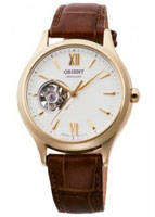 Orient AUTOMATIC RA-AG0024S10B